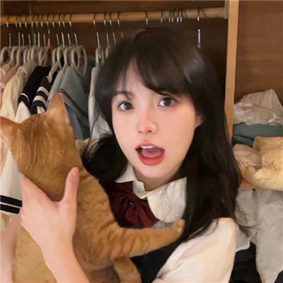 庄园梦中人海报