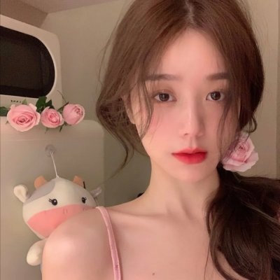 模范生的禁爱秘密海报